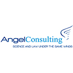 Angel Consulting