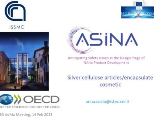 ASINA at the SG Virtual Meeting