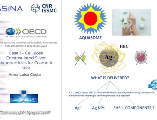 ASINA presented at the OECD WPMN Workshop on Advanced Materials